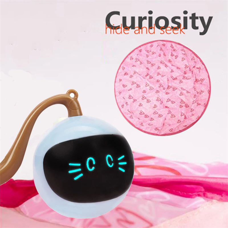 Cute Funny Cat Toy